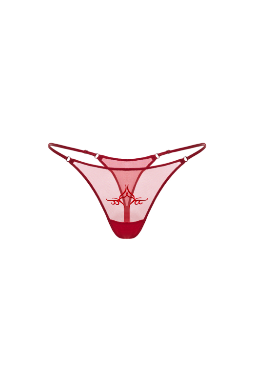 moonlight elves Panties For Women Lace Thongs Jujube Red Underwear Seamless  Hipster Panty Pack 3, Size XS at  Women's Clothing store